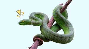 Maybe you would like to learn more about one of these? 13 Arti Mimpi Dikejar Ular Berhubungan Dengan Emosi Orami