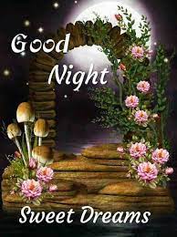 Good Night Images For Whatsapp | Good night sweet dreams, Good night  flowers, Good night beautiful