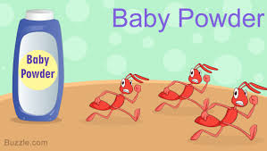 14 Safe And Amazingly Simple Home Remedies To Get Rid Of Ants Get Rid Of Ants Rid Of Ants Home Remedies For Ants