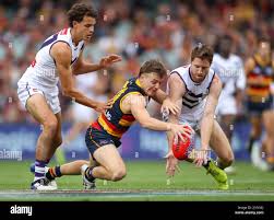 James Rowe of the Crows clashes with Heath Chapman and Reece Conca of the  Dockers during the Round 5 AFL match between the Adelaide Crows and  Fremantle Dockers at Adelaide Oval in