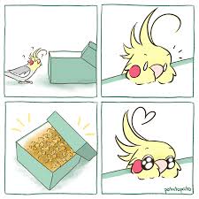 Whee Hello Cute Funny Animals Funny Parrots Funny Birds