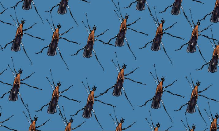 And Then There Were None: Unraveling the Insect Apocalypse - The Politic