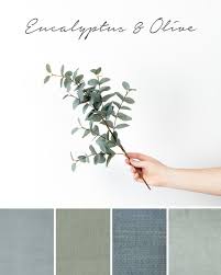 Color Trends 2020 Green Bedroom Colors Master Bedroom Colors Bedroom Colour Palette