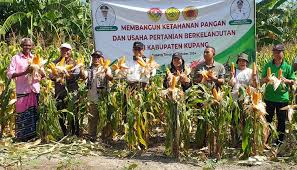 Kegiatan membangun Ketahanan Pangan dan Usaha Pertanian Berkelanjutan di  Kabupaten Kupang - Dinas Pertanian dan Ketahanan Pangan Provinsi NTT
