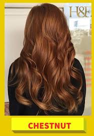 We did not find results for: Pewarna Rambut Halal Dan Mesra H F Salon And Spa Facebook