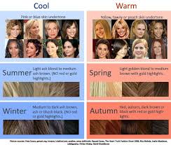 Cool Warm Hair Color Chart How To Determine Which Season