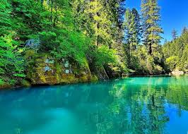 The campground lies in an aptly named mountain setting at an elevation of 7,800 feet. Explore Butte County Discover The Sly Creek Recreation Area