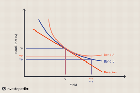 Convexity Definition