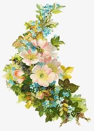 vintage floral botanical png clipart anthography botanical clipart decoration floral clipart flowers free png download vintage floral botanical png clipart