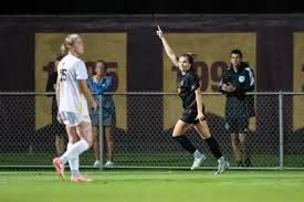 VB: Ninth-Ranked Minnesota Defeats Illinois in Four Games