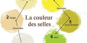 Selles Blanches Chez Les Enfants Causes Et Traitement La couleur des selles est liée à la présence de la bile donc la blancheur peut indiquer un problème au niveau du système biliaire, voire une infection du. selles blanches chez les enfants