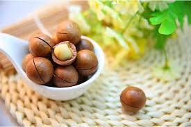 This is a small macadamia nut farm run by a very interesting person with local hawaiian blood in him. What Are The Nutritional Benefits Of Having Macadamia Nuts During Pregnancy Pregnantplate