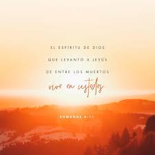 Romanos 8 Versos Biblicos