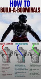 Kendall Jenner Ab Workout Routine Among Japanese Abdominal Exercises Also Abdominal Exercises Cable Via Abs Worko Core Workout Muscles In Your Body Abs Workout