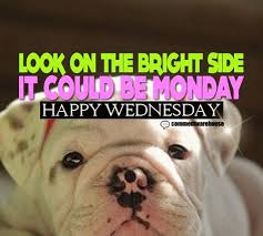 Scroll down for some of the best, cute, most funny and hilarious wednesday memes and share with friends and. 65 Wacky Wednesday Ideas Wednesday Quotes Wednesday Wednesday Humor