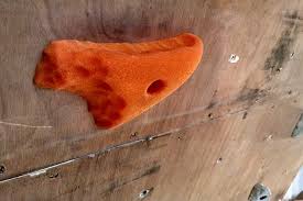 Home walls are so great because you don't need to have a climbing gym near by to climb and train. How To Build A Home Climbing Wall Under 200 Diy Climbing Wall Affording Motherhood