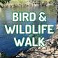 Bird & Wildlife Walk - One Truckee River  event image
