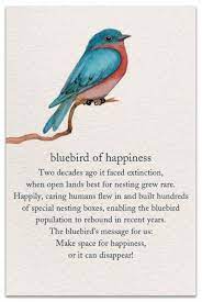 26 New Ideas Blue Bird Of Happiness Quotes Blue Bird Meant To Be Meaning Of Life
