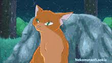 The best gifs for cats warriors. Latest Warrior Cats Gifs Gfycat