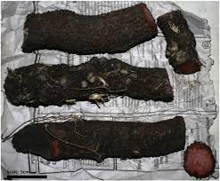 Image result for Hydnora abyssinica
