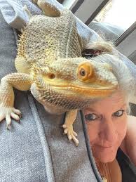 ❤❤Happy Saturday everyone. Meet Noah Stubbs with proud parents Katie  Sharples and Cameron Stubbs. Take a look at 10 more cute bundles of joy in  the comments....