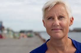 Danske Havne efterlyser fælles EU-løsning på krydstogtforurening