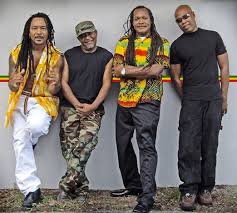 Butterfly world, sawgrass recreation park and flamingo gardens. Clematis By Night With Sweet Justice