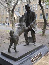 Hachiko dog statue in tokyo. Hachiko S New Statue Is Now Open To The Public And We Ve Got Pictures And Video From Our Visit Akita Dog Japanese Dogs Akita