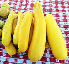 Zucchini is a summer squash that grows best in places with warm weather. 30 Round Zucchini Summer Squash Non Gmo Open Pollinated Organic Vegetable Seeds Home Garden
