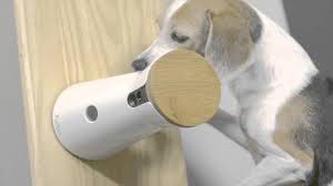 Pet cameras, though a relatively recent addition to the smart security camera market, are a great way to do this when we're away from home, helping us to keep a watchful eye over our furry friends from. Furbo World S Best Treat Tossing Dog Camera Indiegogo