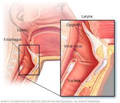 Throat Cancer Symptoms And Causes Mayo Clinic