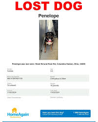 AJ's Search & Rescue