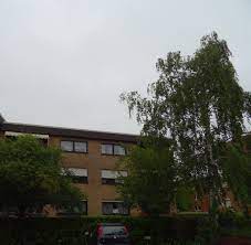 Wenn sie eine wohnung oder ein haus kaufen, mieten oder anbieten möchten sind wir der richtige ansprechpartner in werne und umgebung. Vermietet Schone 3 Zimmer Wohnung Mit Balkon In Werne Zu Vermieten Frederik Holtrup Immobilien Grundstucke Werne Unna Hamm