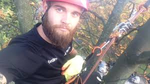 Kasey Buxton's Instagram, Twitter & Facebook