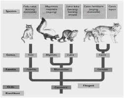 Buatlah genogram minimal tiga generasi yang dapat menggambarkan hubungan klien dengan keluarga. Http Bimariyaseprita Blogspot Com 2015 12 V Behaviorurldefaultvmlo 30 Html