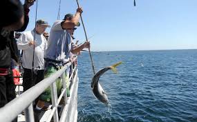 Veterans go fishing at Channel Islands with Anglers Anonymous