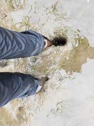quicksand. ert sloshes through the