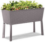 Additionally, garden bed planters can be used on their own or in pairs to create different looks depending on your space. Keter Rattan Elevated Garden Bed 55 Save 55 Masters Home Improvement Ozbargain