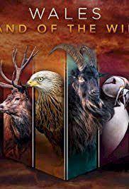 Wales Land Of The Wild Putlocker Putlockers Putlocker Tv Series 123movies Dvd History Of Wales Wales