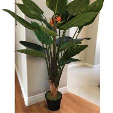 Bird Of Paradise In Pot Pin On Adjustable Bra