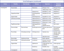 Taxonomy Of Clinically Relevant Microorganisms Microbiology