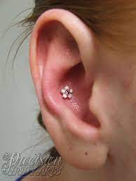 Lovin The Bvla Conch Action With A Cherry Blossom 3 I Love Body Vision Too Much Conch Piercing Piercings Piercing