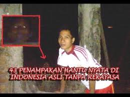 Nasib si hantu pocong, hantu yang seram bagi mereka yang lemah iman nya akan lari lintang pukang. 11 Ide Penampakan Hantu Hantu Roller Coaster Perekam