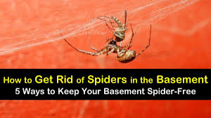 With a walkout basement, plenty of sand fill outside, and a generally high/dry building site, i didn't think a damp basement would be a problem. 5 Simple Ways To Get Rid Of Spiders In The Basement