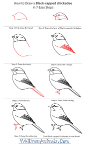 Easy Simple Bird On Branch Drawing How To Draw A Black Capped Chickadee Cool Drawings Easy Drawings Bird Drawings