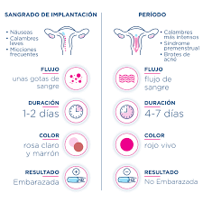 Todo Lo Que Necesita Saber Sobre El Sangrado De Implantacion Clearblue