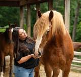 Level 2: Deepening the Connection with Relationship Based Horsemanship