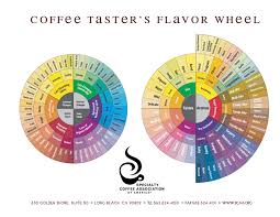 172 Words To Describe Coffee From The Official Tasters