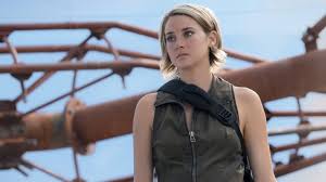 The american actress began acting professionally in minor television roles. Divergent Tv Show Shailene Woodley Says Lionsgate Hasn T Finalized Any Decisions Den Of Geek