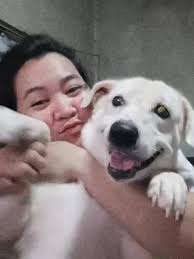 Kilalanin si Snoopi: Aso Ko na 24K Gold Labubu